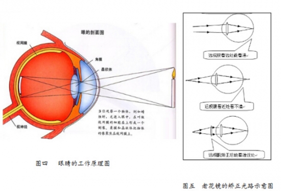 美麗島眼鏡：老花鏡不可隨意亂帶，需要在專業(yè)驗(yàn)光后科學(xué)配制
