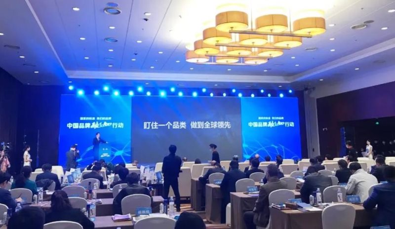 定了！美麗島進了國家隊，新華社專訪